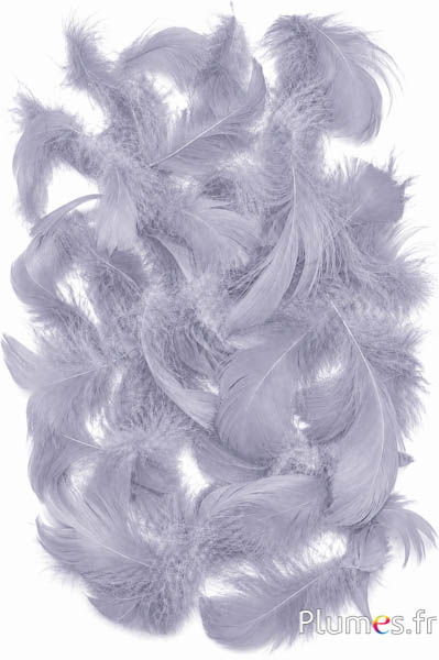 Gans - 4-6 cm - grau